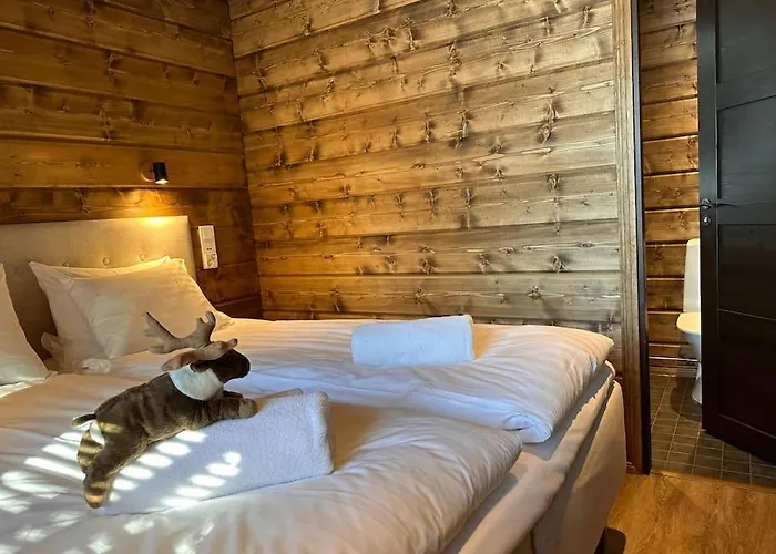 木屋 Lakeside Vaami 库萨莫