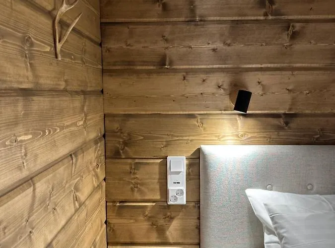 Lakeside Vaami 木屋