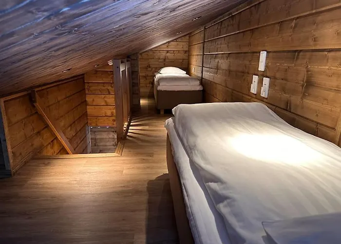 Lakeside Vaami 木屋